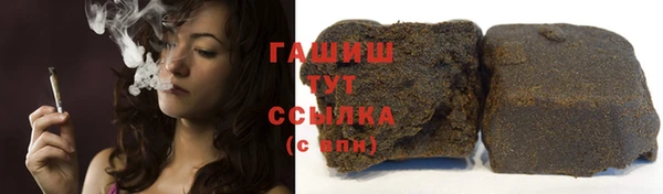 СК Медвежьегорск