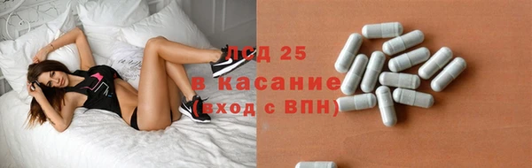 гидра Михайловск