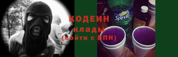 дмт Мегион