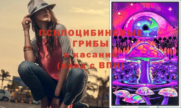 гидра Михайловск