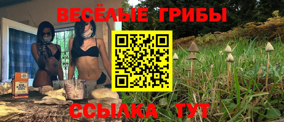 Псилоцибиновые грибы мицелий  Вход с VPN  Армавир  Псилоцибиновые грибы Cubensis 