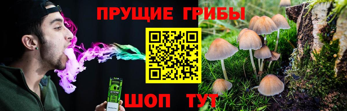 Псилоцибиновые грибы Cubensis  Армавир  Псилоцибиновые грибы прущие грибы 
